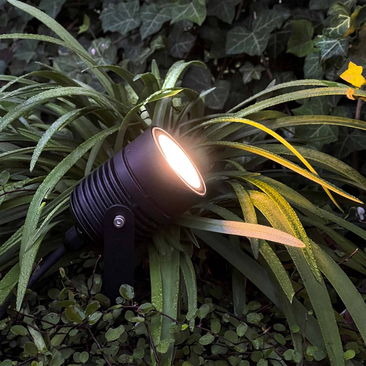 LightsOn - Vendita all'ingrosso Luce per esterni/da giardino - Nova LED dimmerabile per esterni con Bluetooth0