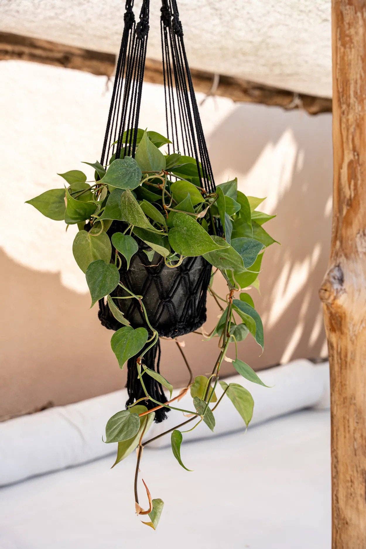 Bazar Bizar Living - Wholesale Hanging Planter - The Macrame Plant Holder - Black - L3