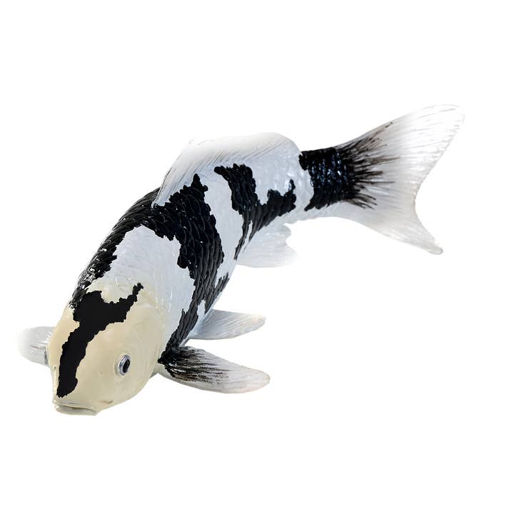 Mojo Koi Carp - Shiro Utsuri Koi (Black White) New! for wholesale by Mojo