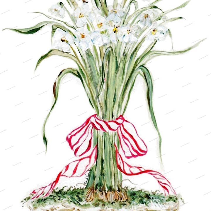 Pamela Cassidy Designs - Wholesale Tea Towel - Paperwhites Kitchen Towel1