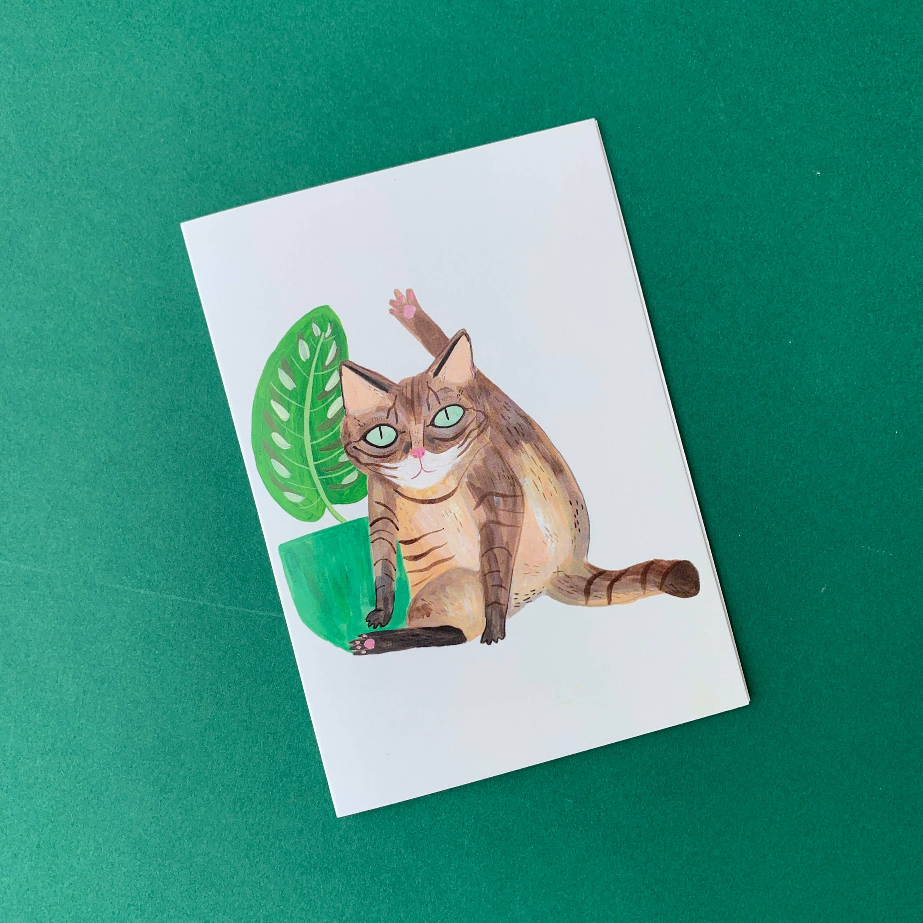 Fernandes Makes - Vente Carte de vœux classique - Carte de vœux amusante au format A6 Cat Licking4