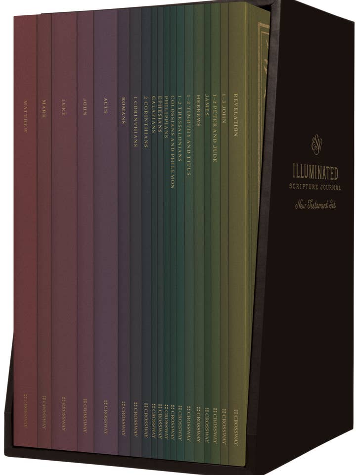 ESV Illuminated SJ: New Testament Set for wholesale by Crossway