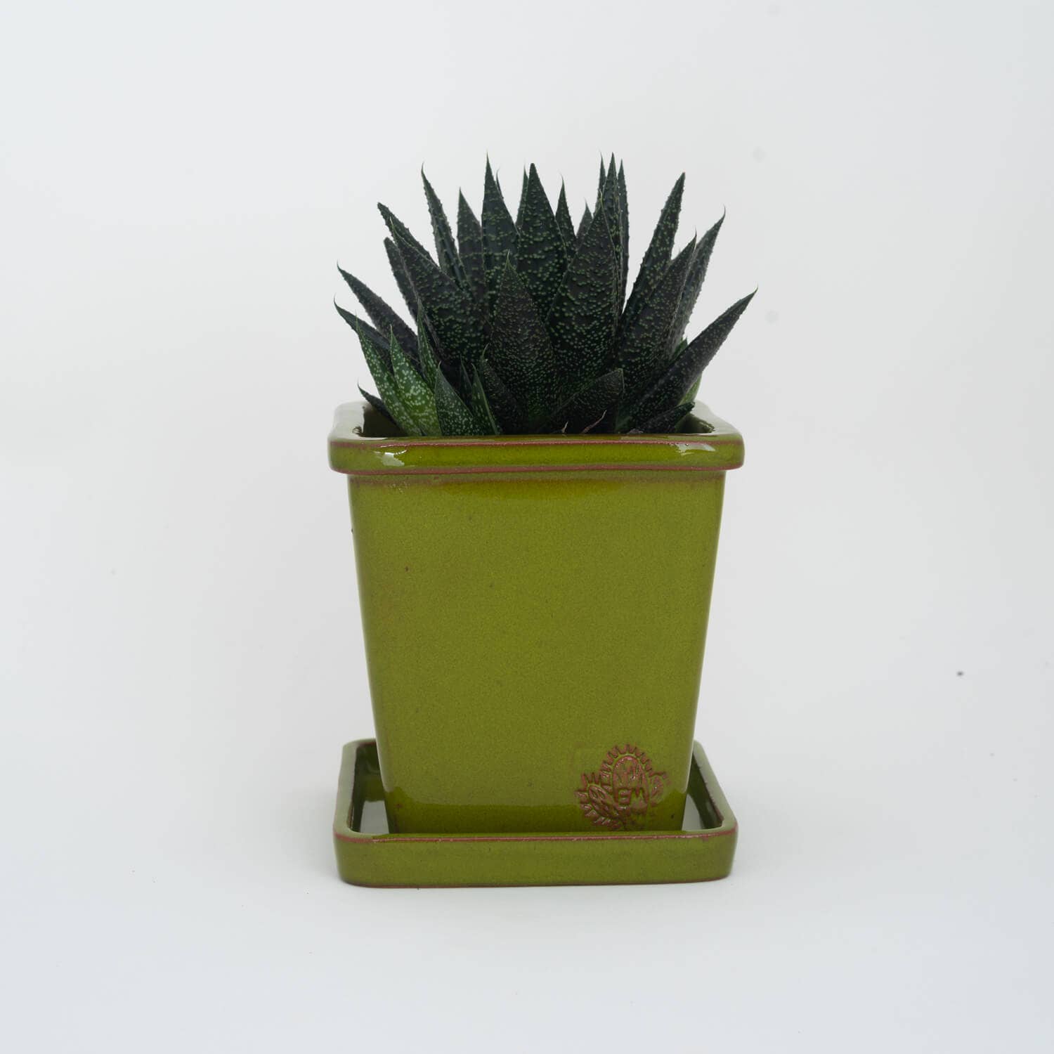 Vasos Quadrados by EM – Engroshandel Plantekrukke – Medium firkantet vase 14x14 cm - blank40