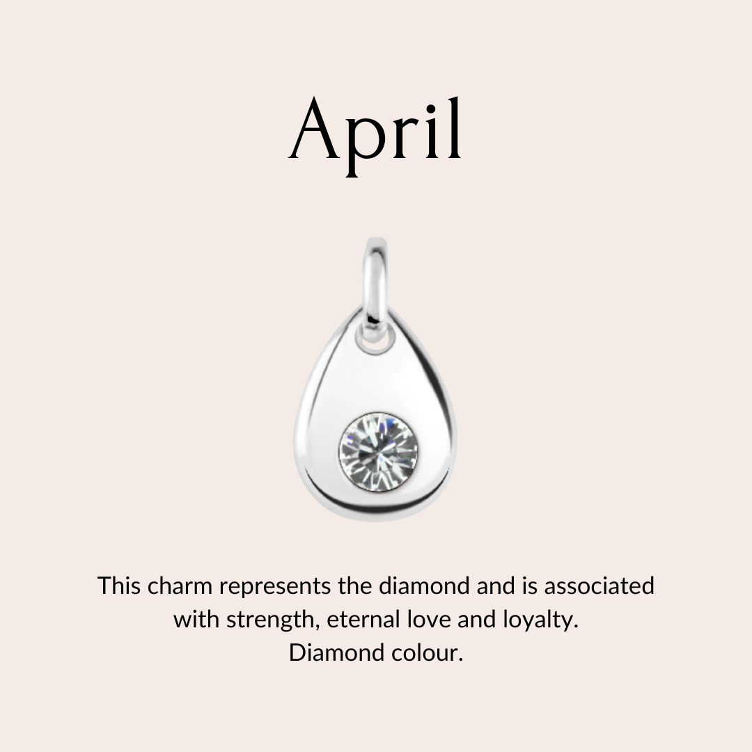 Skylos Collective - Wholesale Pet Collar Charm - Cat/Dog - Sterling silver birthstone collar charm6