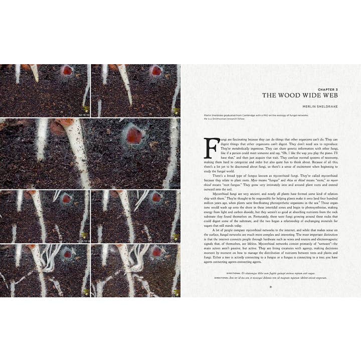 Insight Editions - Wholesale Book - Adult - Fantastic Fungi