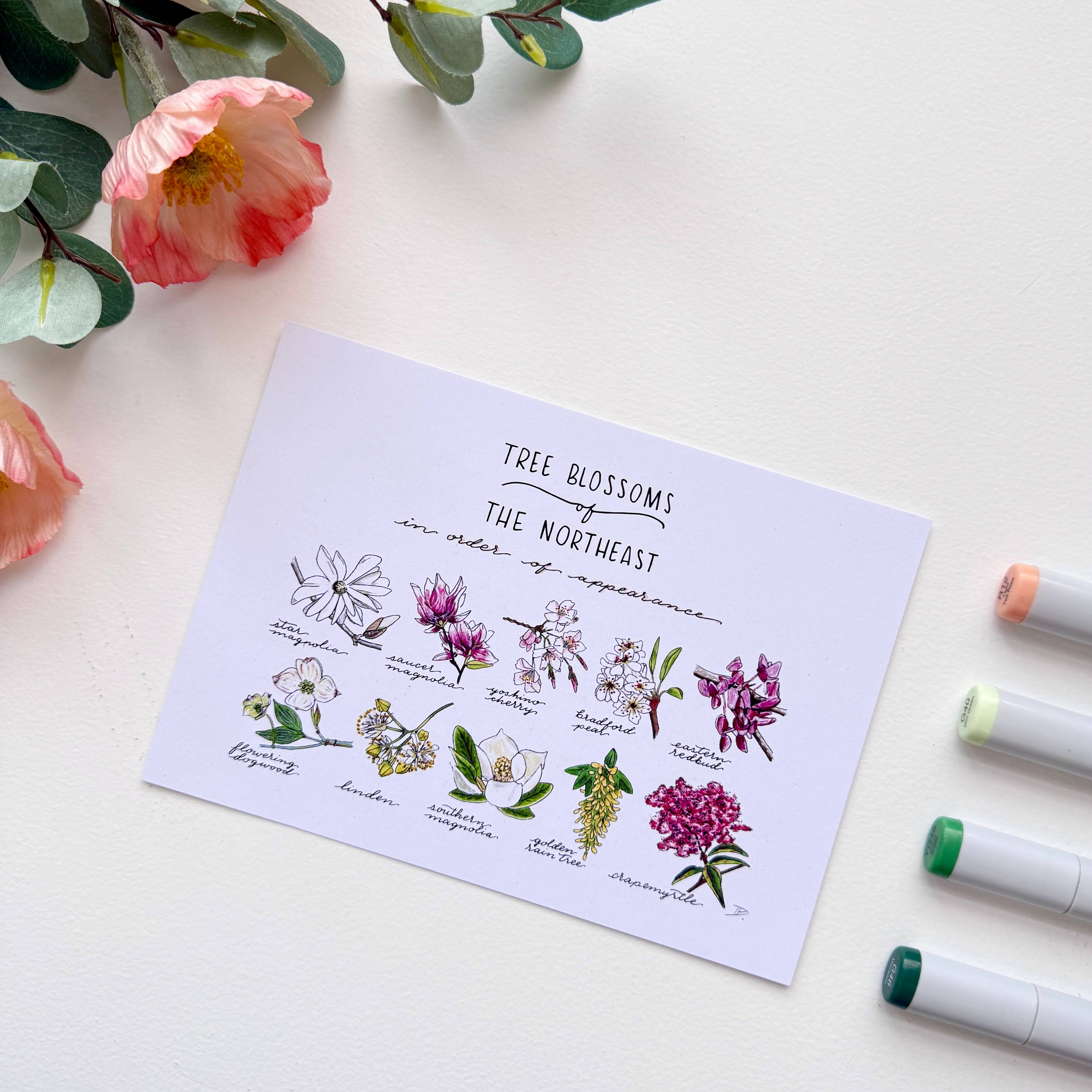 D. Prince Designs - Wholesale Art Print - Tree Blossoms of the Northeast | Recycled Cardstock Print5