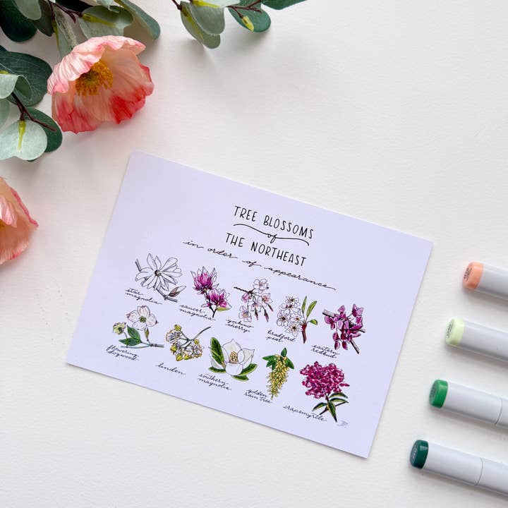 D. Prince Designs - Wholesale Art Print - Tree Blossoms of the Northeast | Recycled Cardstock Print5