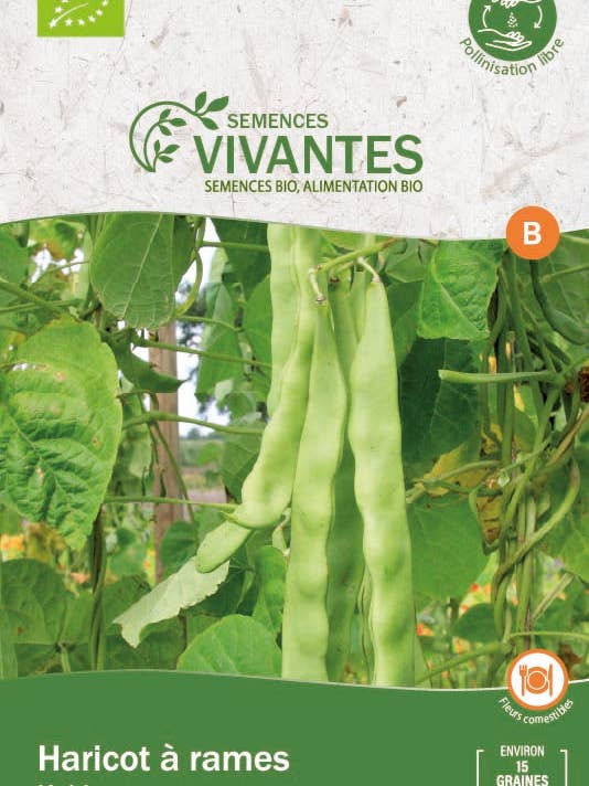 Fagioli da canottaggio biologici Helda - Confezione da 15 semi per la vendita all'ingrosso da parte di Semences Vivantes