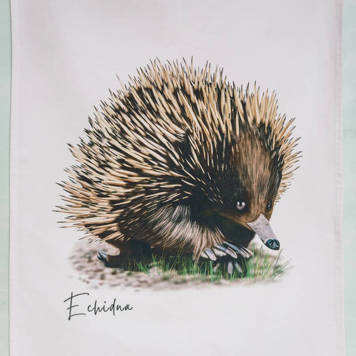 Taylor Hill Scarves & Co – Engroshandel Viskestykke – Echidna Design Australsk Bomuld Viskestykke2