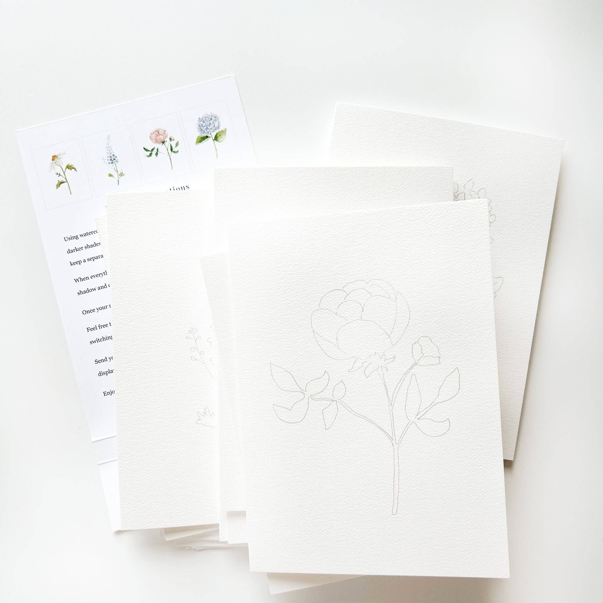 emily lex studio - Wholesale Briefpapier/indexkaartenset - tuinbloemen beschilderbare aquarel notitiekaarten set11