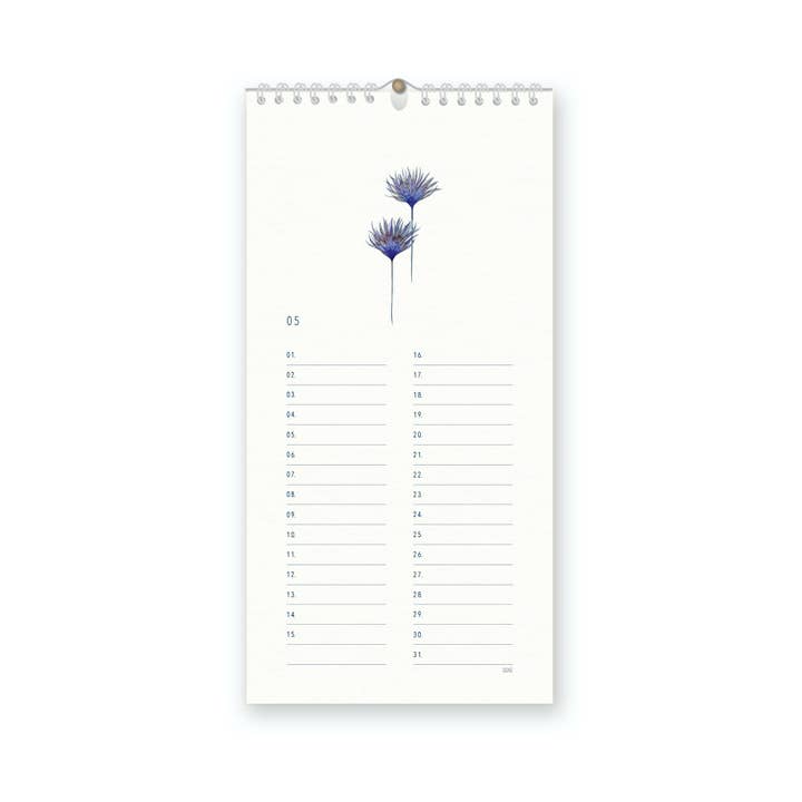 SANS.design - Wholesale Calendar - Perpetual Botany Calendar3