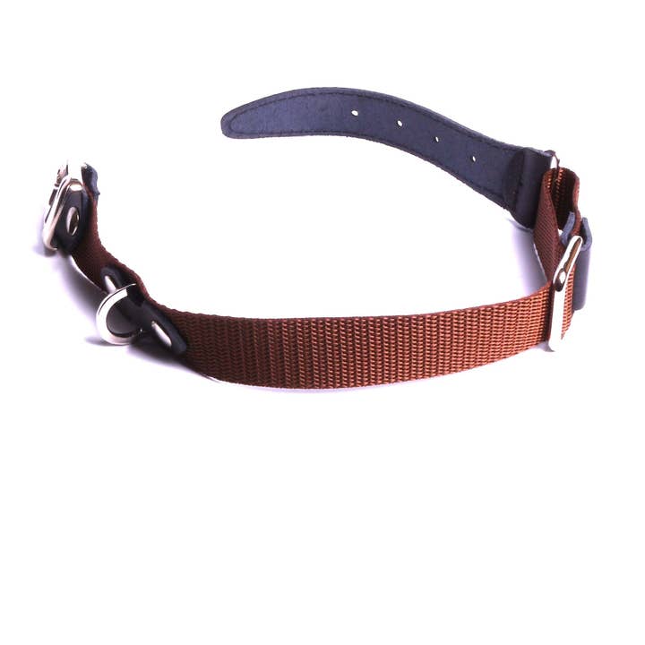 SARL FELINEA - Wholesale Pet Leash - Dog - Adjustable Dog and Cat Collar and Leash Set Personalized in Size.7