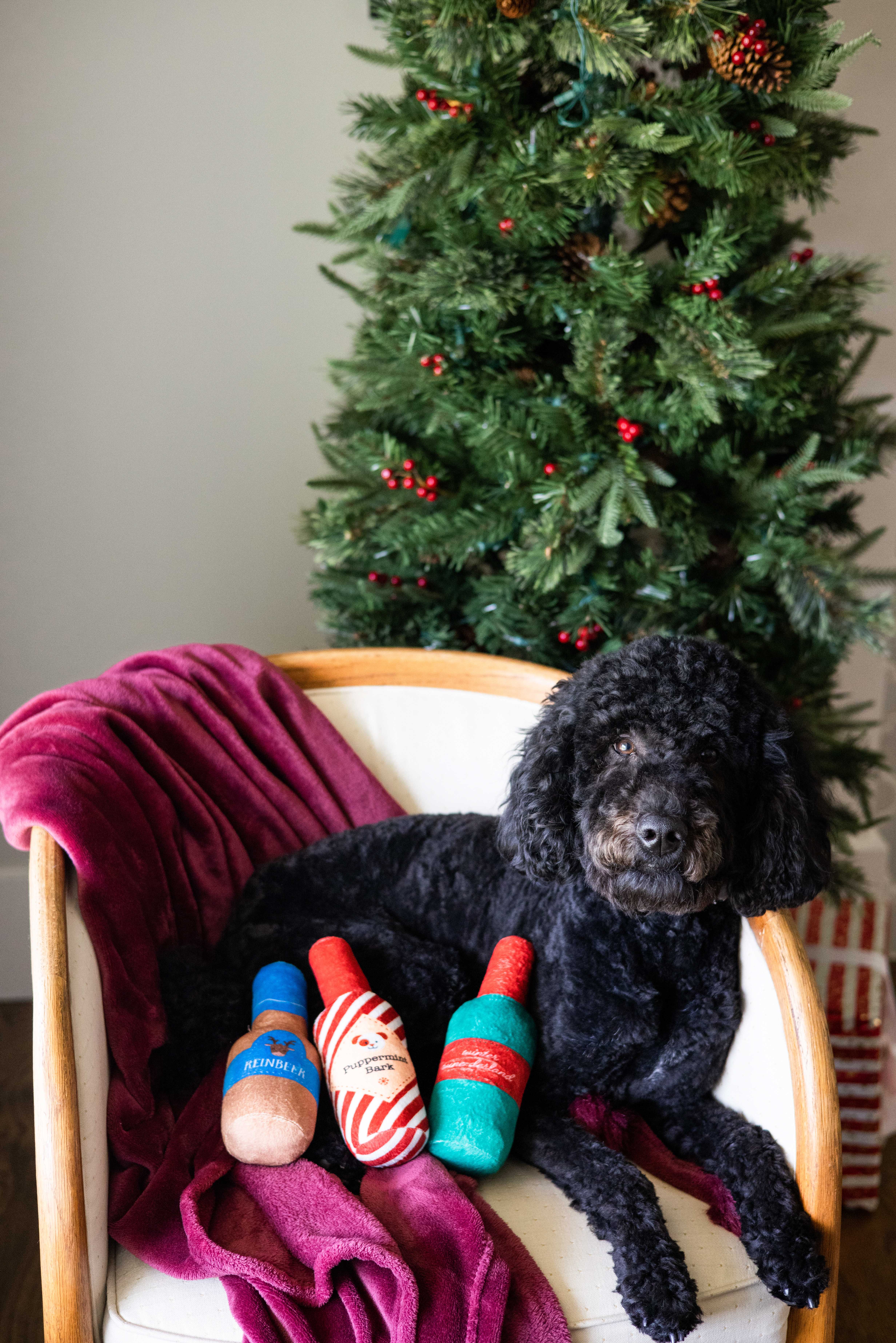 Pearhead - Wholesale Pet Plush Toy - Dog - Holiday Spirits Christmas Dog Toys, Set of 31