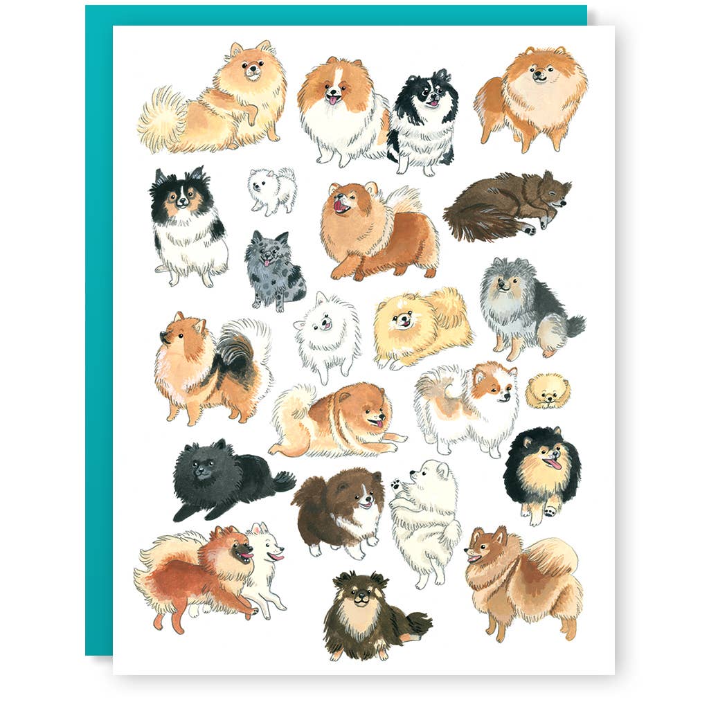 Party Mouse Studio - Wholesale Everyday Greeting Card - Pomeranian Card0