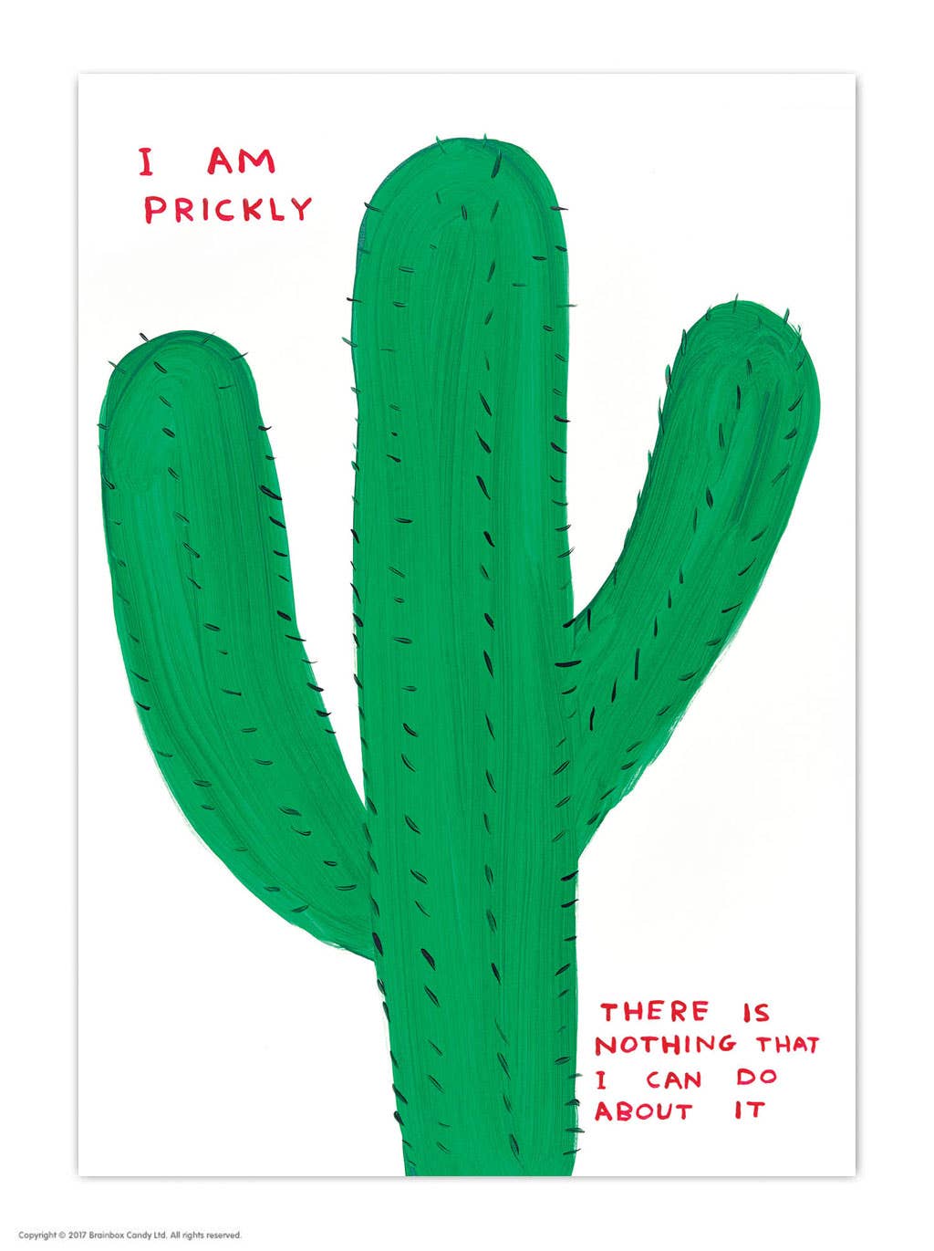 David Shrigley x Brainbox Candy - Wholesale Postcard - Funny A6 Art Postcard By David Shrigley - I Am Prickly0