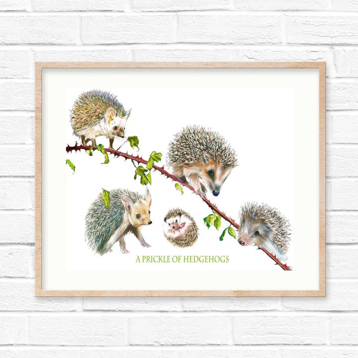 A Prickle Of Hedgehogs Collective Noun Print for wholesale by Sarah Gregory Designs