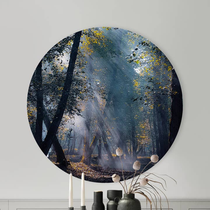 Círculo de pared, Misty Forrest, calidad Dibond de primera calidad para venta al por mayor de Sferico