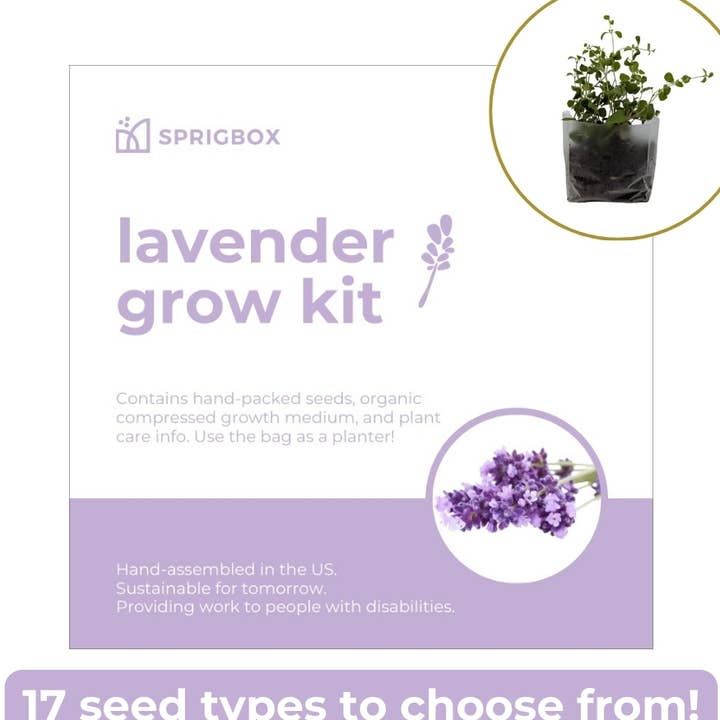 Pocket Garden | All-In-One Flower Grow Kit | Eco-Friendly for wholesale by Sprigbox