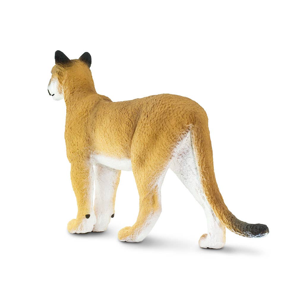 Safari Ltd. - Wholesale Figurine Toy - Kids - Florida Panther - 1001053