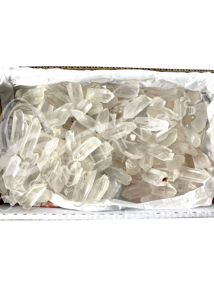 (3 LB LOT)PUNT - LEMURISCH KWARTS 2-3" voor wholesale door Oceanic Linkways Inc