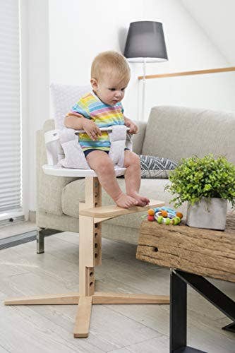 KsmToys - Wholesale Highchair - Baby - PEAK Award Winning High Chair for Children 6m to 10y by Froc2
