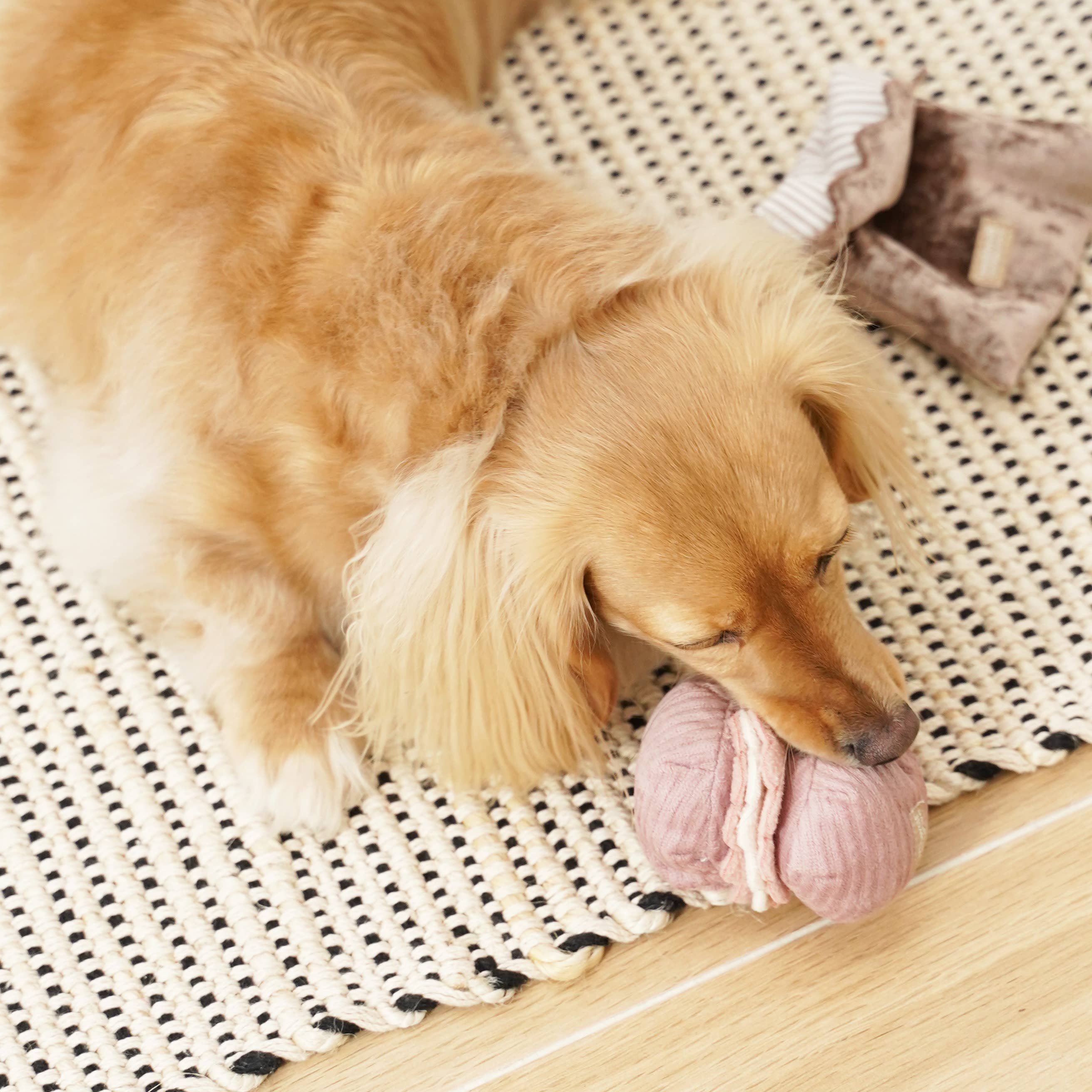 Lambwolf Collective - Vendita all'ingrosso Set di giocattoli - Cani - Giocattolo arricchente 2-in-1 per cani di piccola taglia5