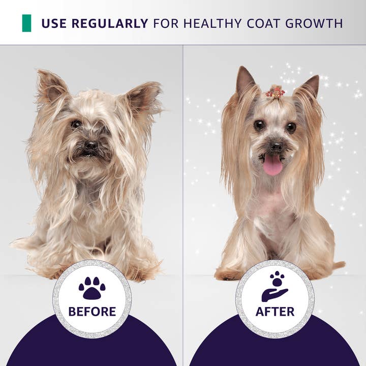 Hydra by Pet Society - Wholesale Pet Shampoo - Dog - Hydra Professional Moisturizing Shampoo