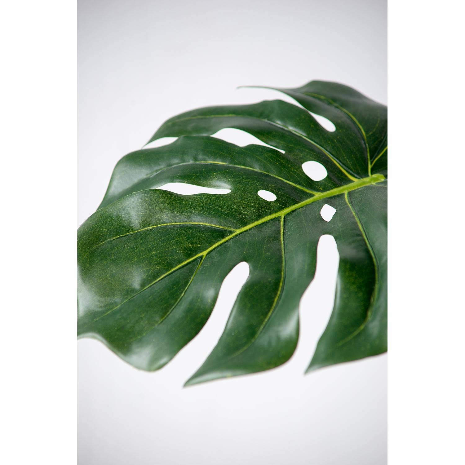 A&B Home Group Inc. - Vente Plantes artificielles - Feuille de Monstera4