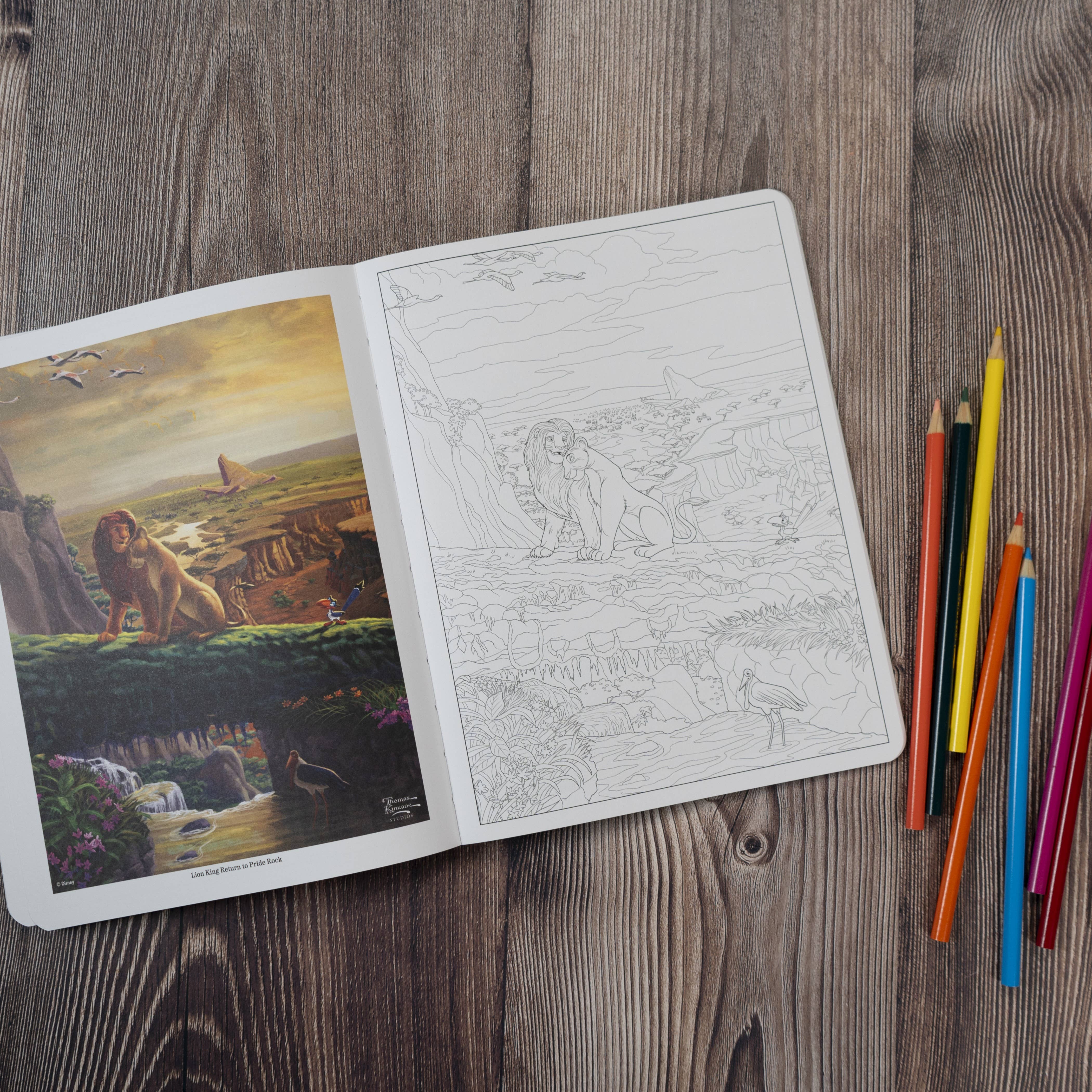 Simon & Schuster - Wholesale Coloring & Activity Book - Adult - Disney Dreams Collection Thomas Kinkade Studios Celebrations Coloring Book by Thomas Kinkade Studios6