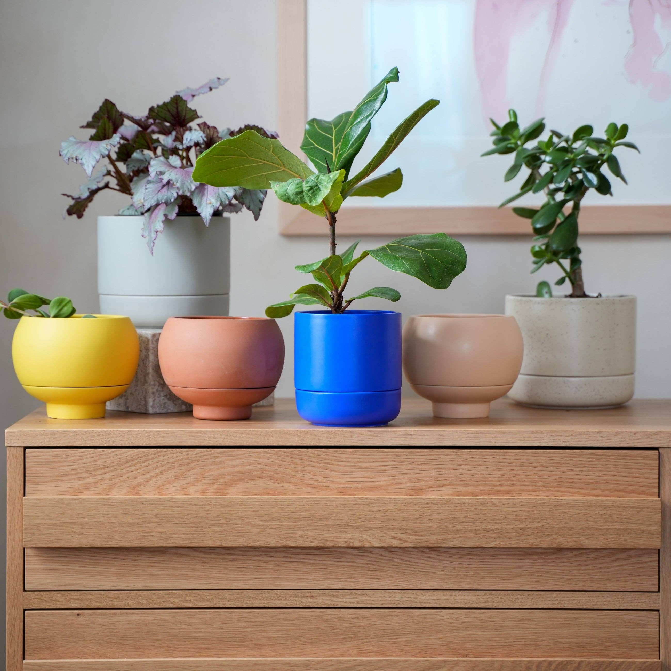 Greenery Unlimited - Wholesale Plantenpot - Franklin keramieke zelfwatergevende pot van 12 cm6