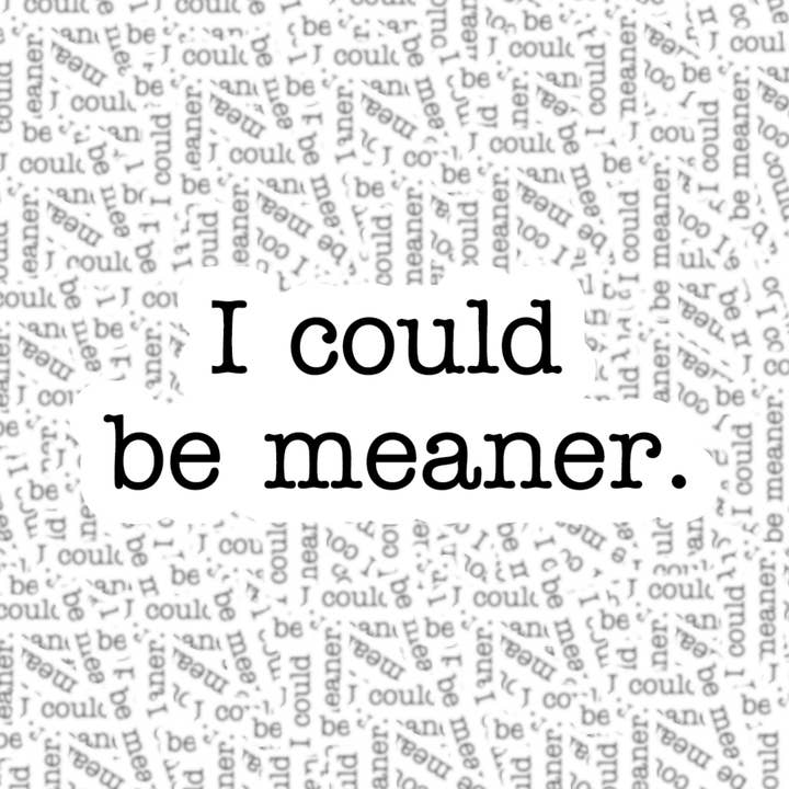 Fuzzy Loon Designs - Wholesale Sticker - I Could Be Meaner Sticker
