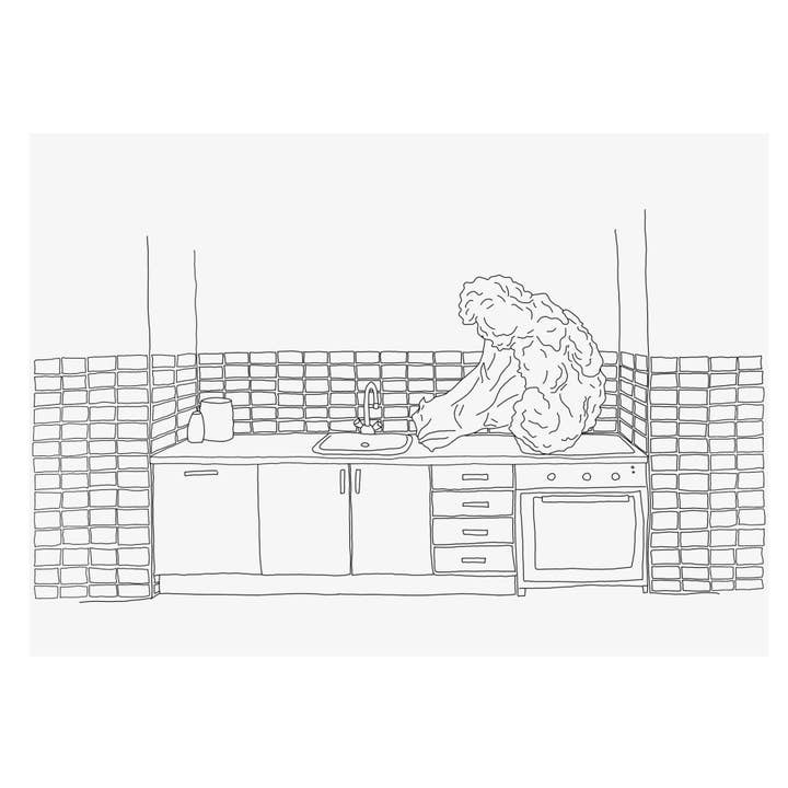 broccoli for wholesale by Jessie Hoefnagel