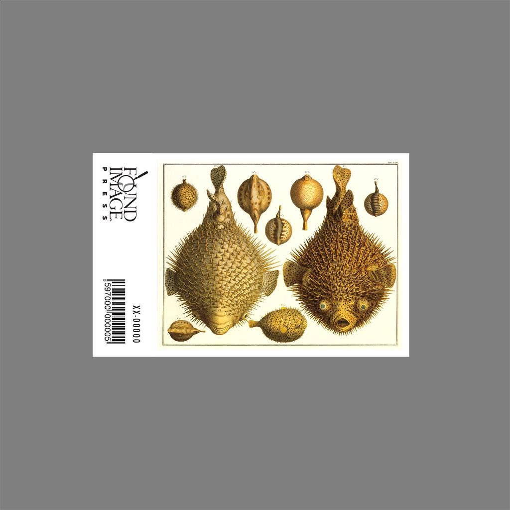 Found Image Press - Wholesale Sticker - Sticker AN-278 Puffer Fish1