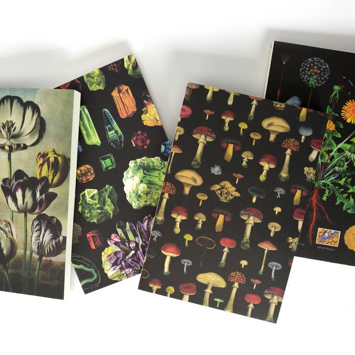Curious Prints - Venta al por mayor Cuadernos - Cuaderno de Encuadernación Copta Expuesta de Diente de León Botánico Vintage