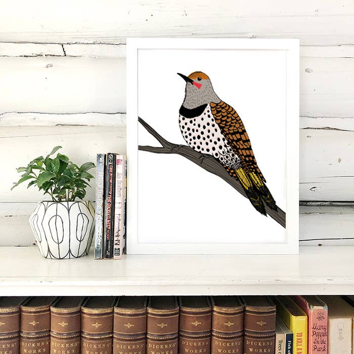 Sloe Gin Fizz – wholesale Art print – Northern Flicker on a Branch Print3
