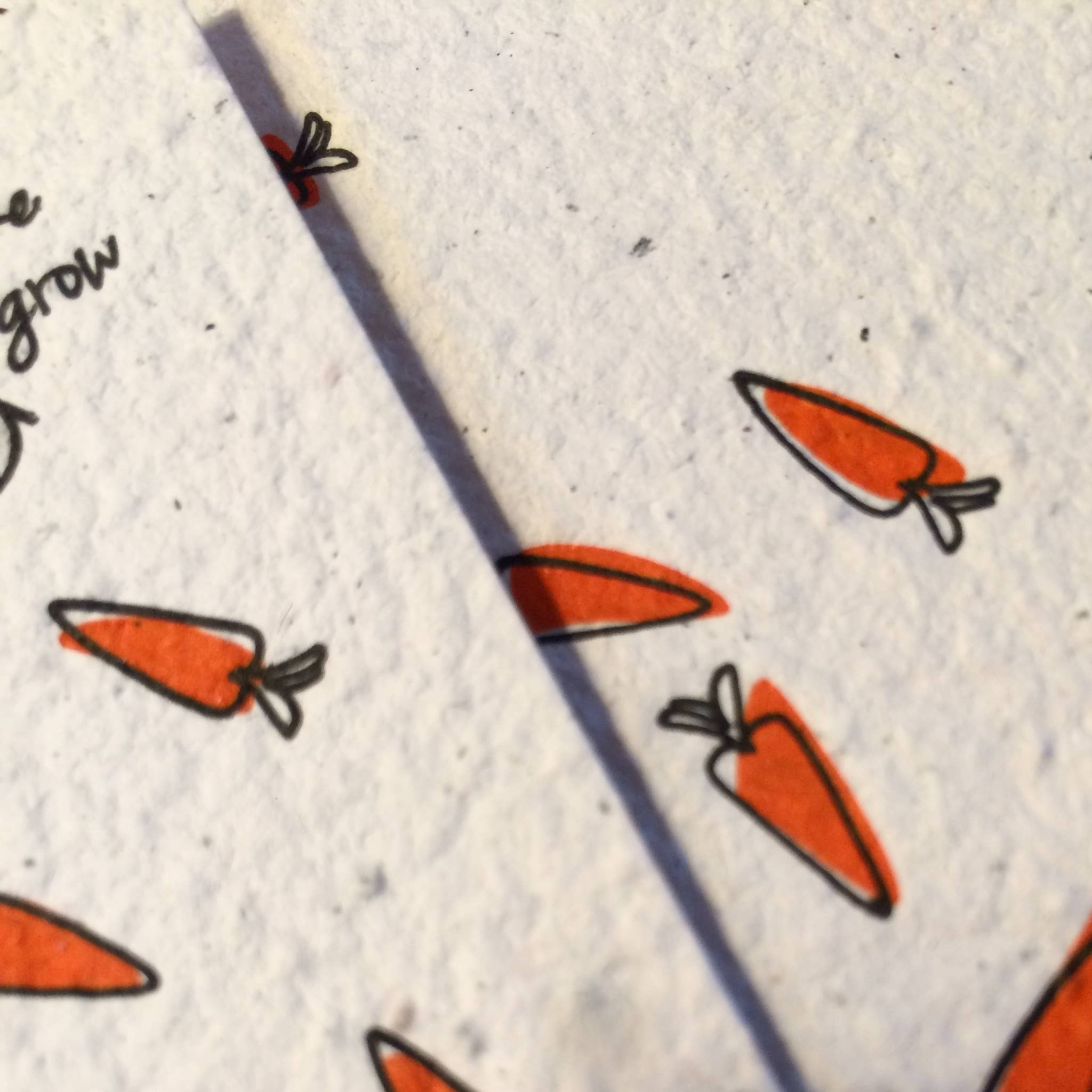 BLOOM your message - Wholesale Zaadjes voor platten - Plantbare groeikaarten (set) Met groenten- en kruidenzaadjes7