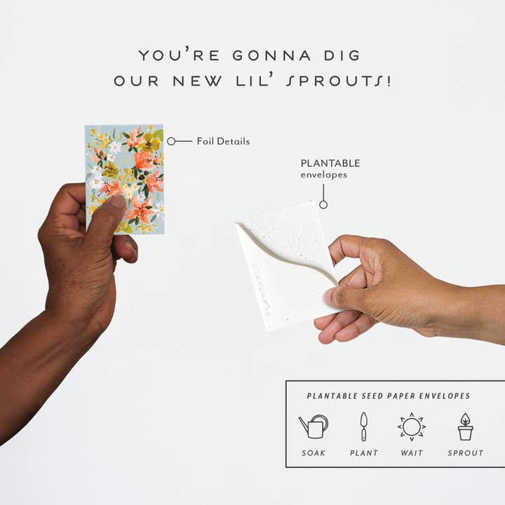 Seedlings - Wholesale Congratulations Card - Bouquet in Blue - Congratulations Mini Greeting Card3