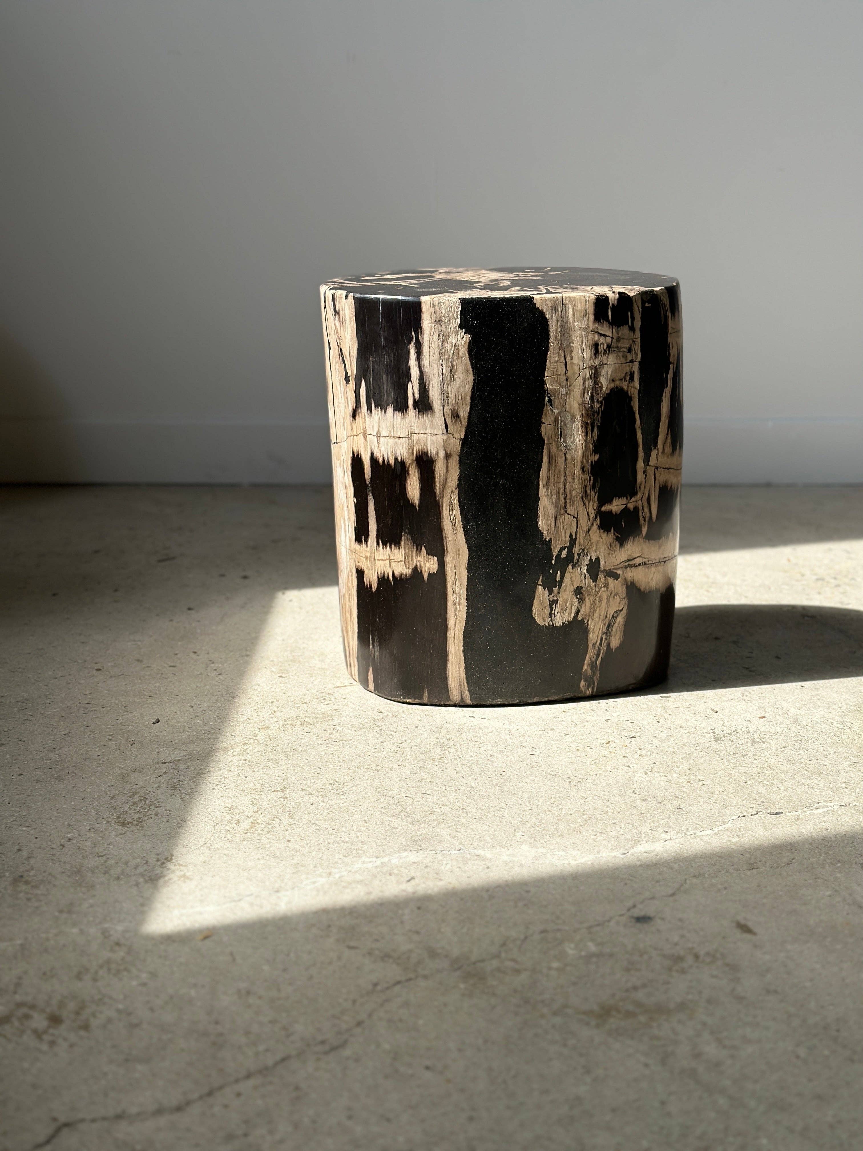 Office Objets - Vente Tables d'appoint - Table d'appoint en bois pétrifié7