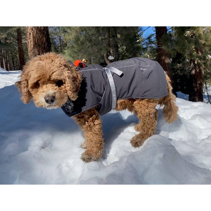 New England Bells - Wholesale Pet Collar - Dog - Dog Collar Bells - #1 Bell2