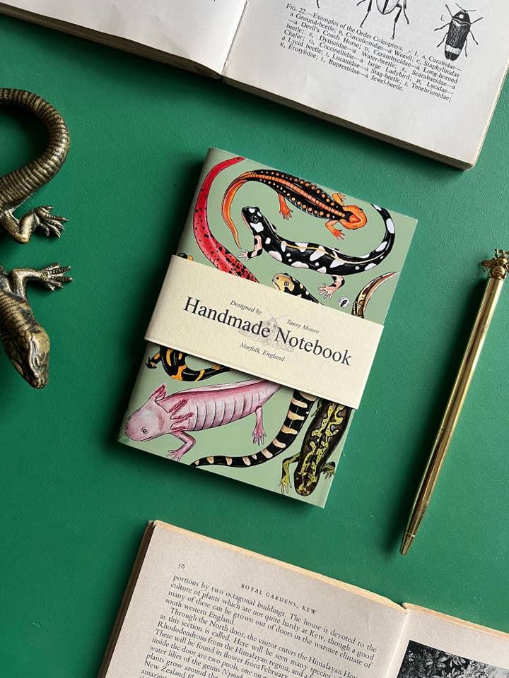 Carnet de Poche Salamandre pour la vente par Tansy Moore