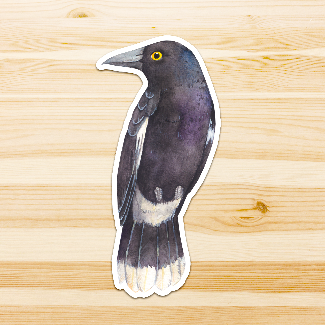 Watercolour By Cat - Vendita all'ingrosso Adesivo - Adesivo in vinile con grande uccello australiano23