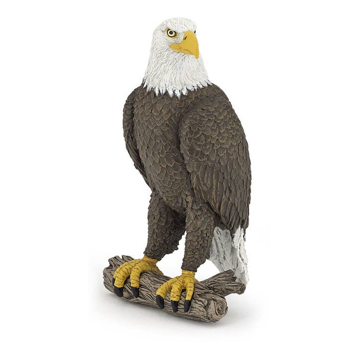 PAPO Wild Animal Kingdom Sea Eagle Toy Figure (50181) and other Purchase wholesale eagle torch. Free returns & net 60 terms on Faire trending on Faire.