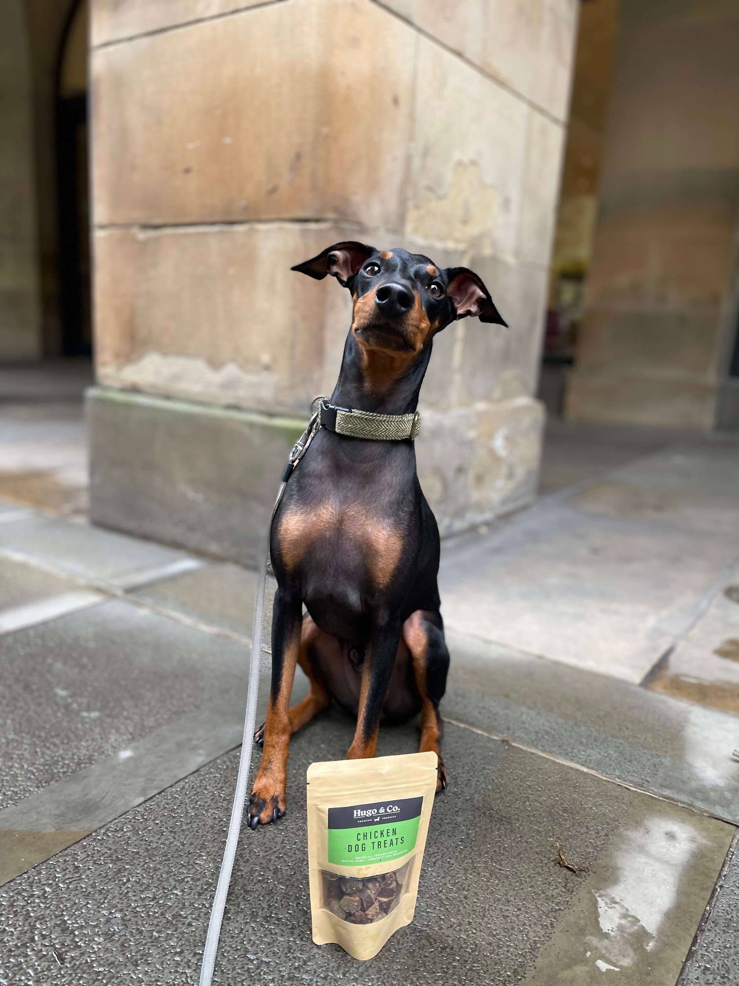 Hugo & Co Dog Treats - Wholesale Pet Treats - Dog - Chicken Dog Treats1