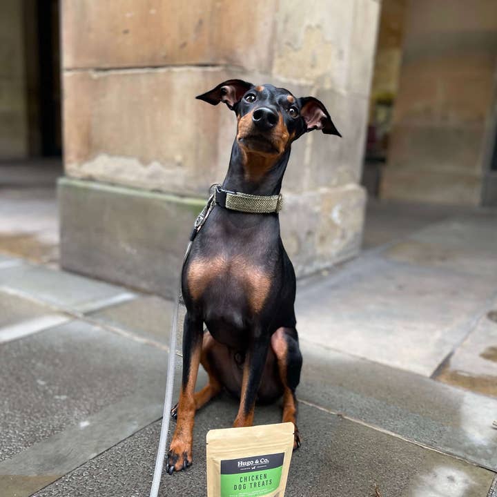 Hugo & Co Dog Treats - Wholesale Pet Treats - Dog - Chicken Dog Treats1