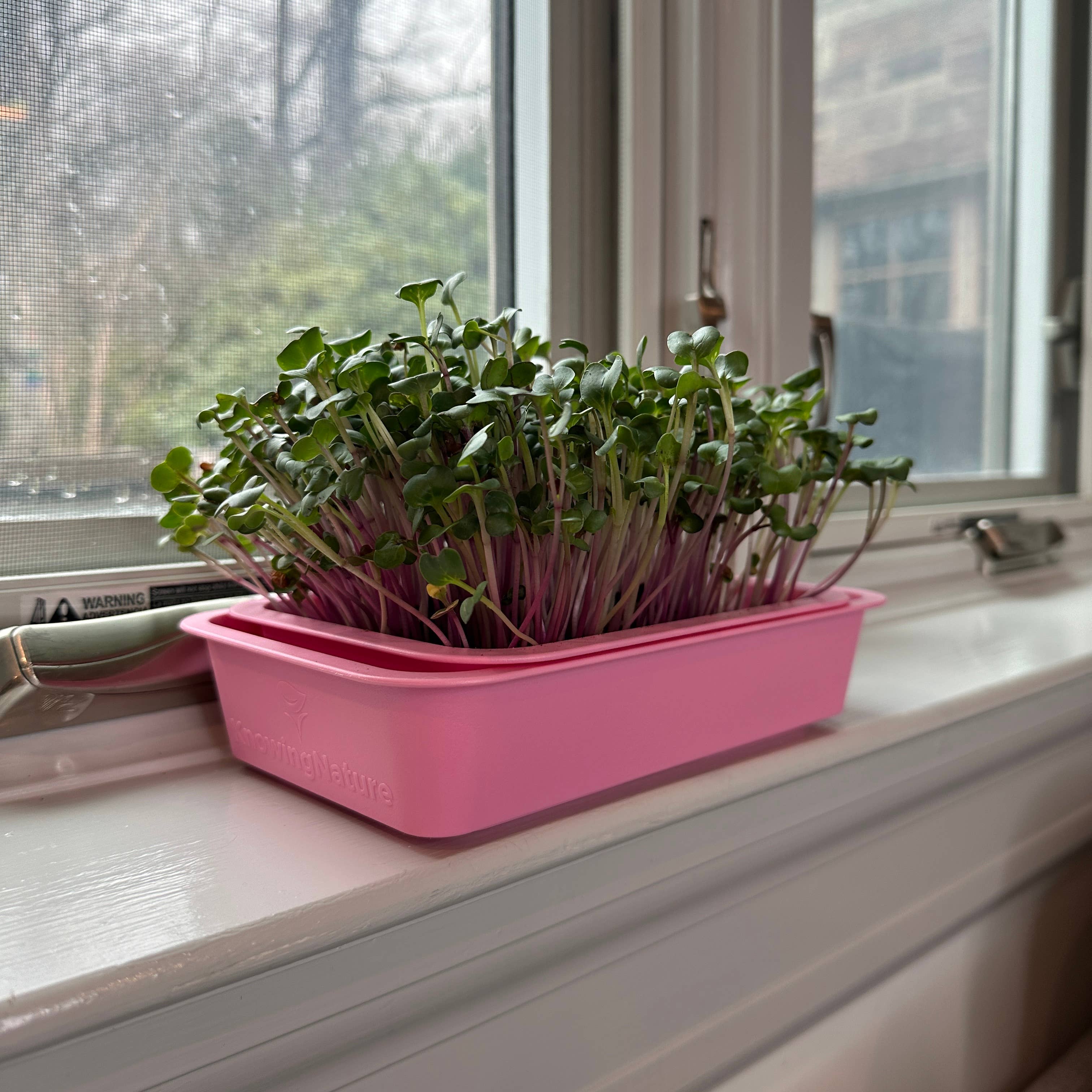 Knowing Nature - Wholesale Planter Box - Indoor Windowsill Microgreens Planters 0