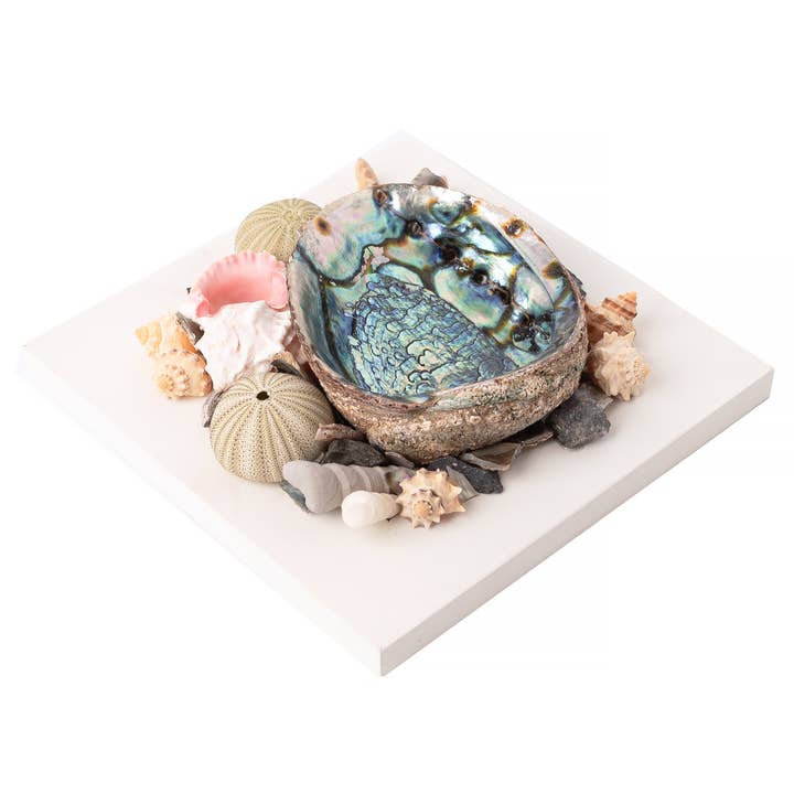 Sarimoire - Vente Échantillon pour commerçant – décoration d'intérieur - Décoration en coquille d'ormeau, décoration océanique, décoration décorative sur la plage - W