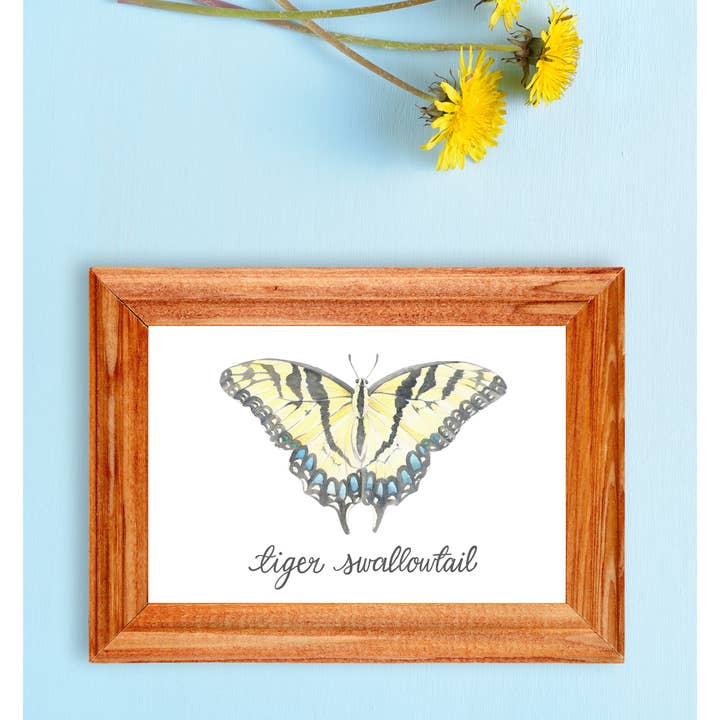 Tiger Swallowtail Butterfly Art Print for wholesale by Erica Catherine Illustration