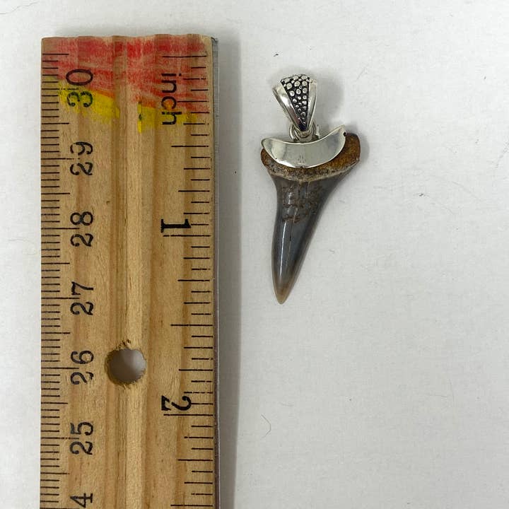 Kathmandu Jewelry - Wholesale Pendant/Charm Necklace - Sterling Silver Megalodon Pendant1
