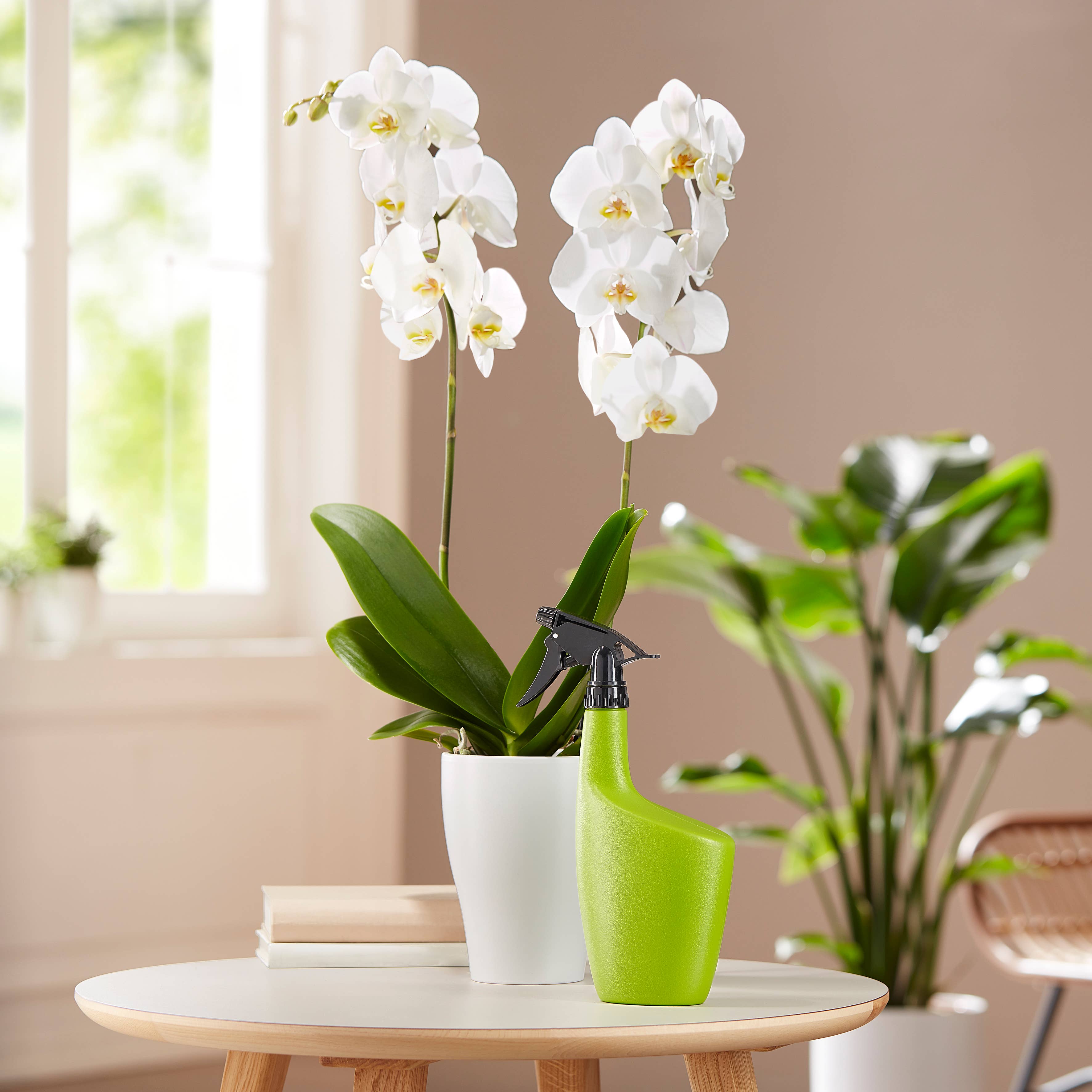 Scheurich - Wholesale Plant Mister - Smilla 143 plastic sprayer4