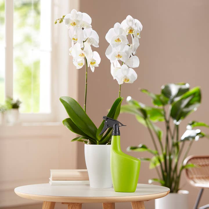 Scheurich - Wholesale Plant Mister - Smilla 143 plastic sprayer4